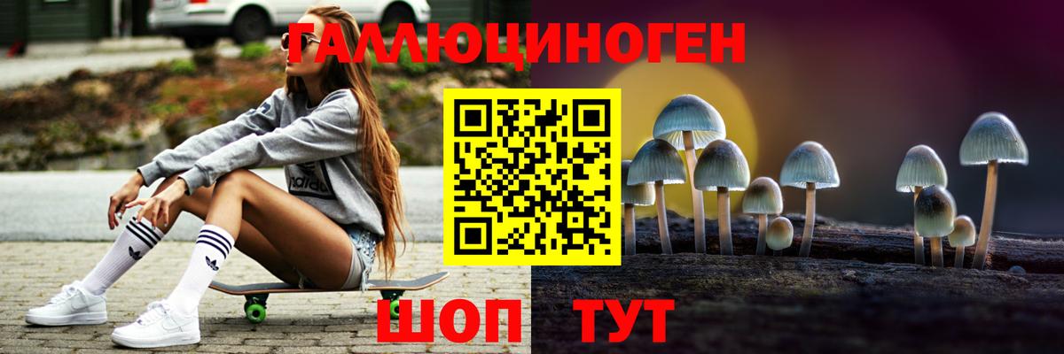 Ефремов  как найти закладки  Вход с VPN  Псилоцибиновые грибы Cubensis 